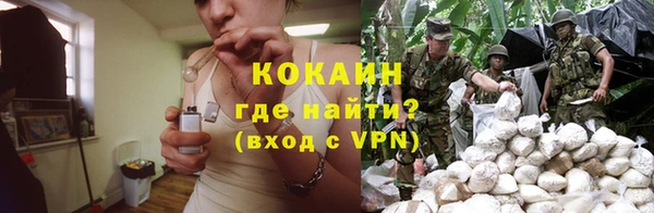 мескалин Богородицк